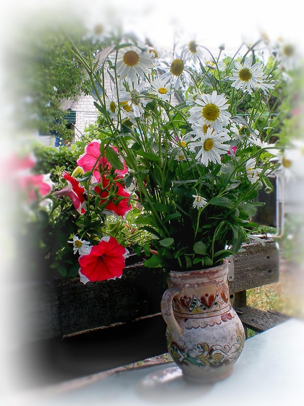 Фотографія Натюрморт / Роман Савоцький / photographers.ua