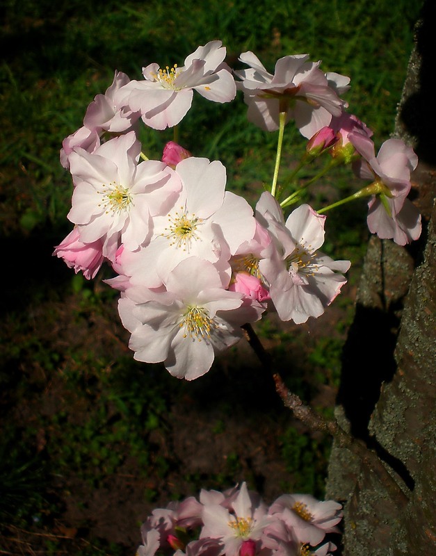 Фотографія Разное / Роман Савоцький / photographers.ua