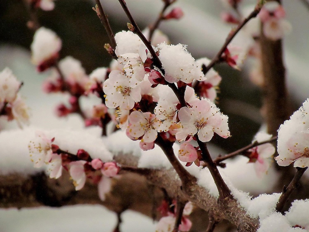 Фотографія Разное / Роман Савоцький / photographers.ua