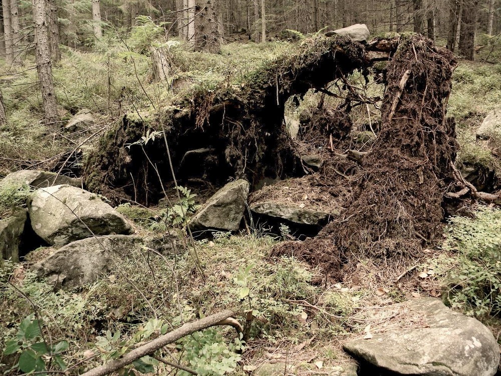 Фотографія Пейзаж / Роман Савоцький / photographers.ua