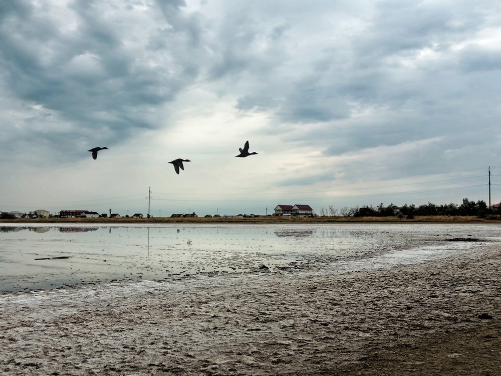 Фотографія Пейзаж / Роман Савоцький / photographers.ua