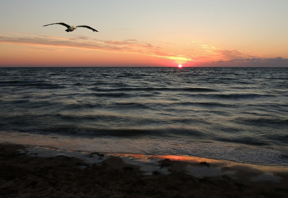 Фотографія Рассвет на Азове / Роман Савоцький / photographers.ua