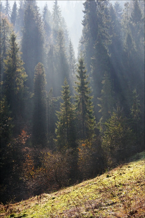 Фотографія ... / Александр Салюк / photographers.ua