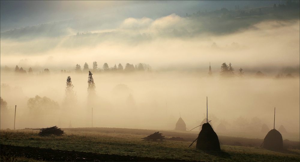 Фотографія .... / Александр Салюк / photographers.ua