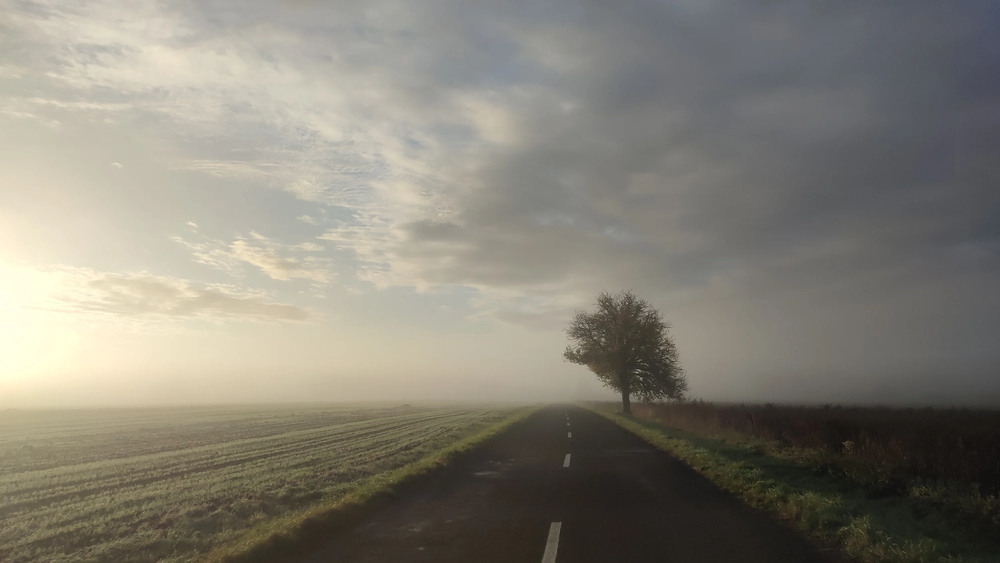 Фотографія ... / Олександр Салюк / photographers.ua