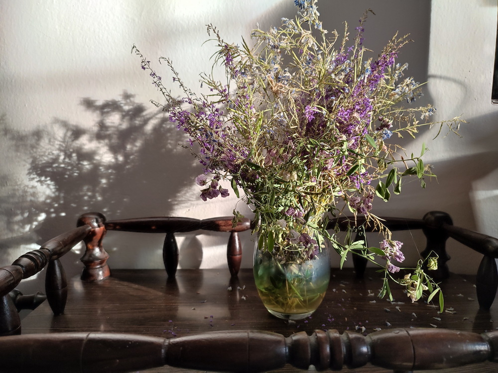 Фотографія ... / Олександр Салюк / photographers.ua