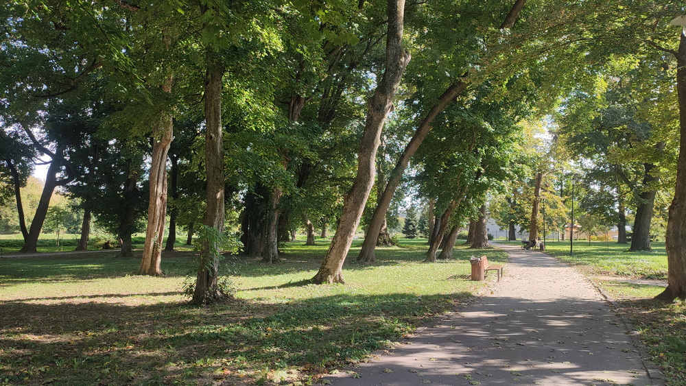 Фотографія ... / Олександр Салюк / photographers.ua
