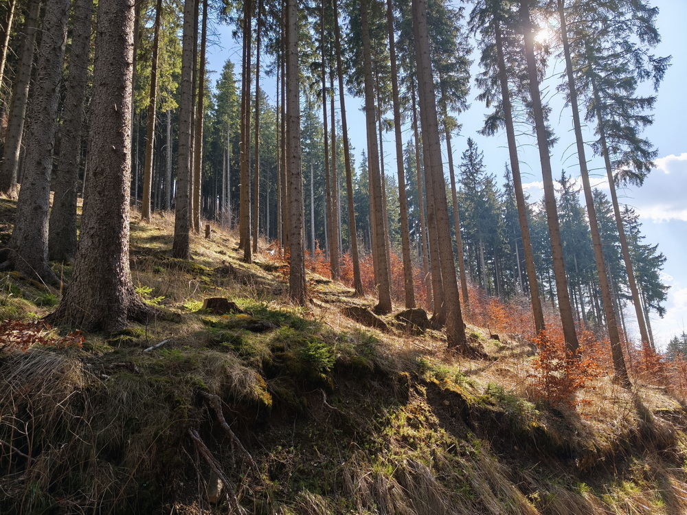 Фотографія ... / Олександр Салюк / photographers.ua