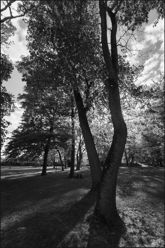 Фотографія ... / Олександр Салюк / photographers.ua