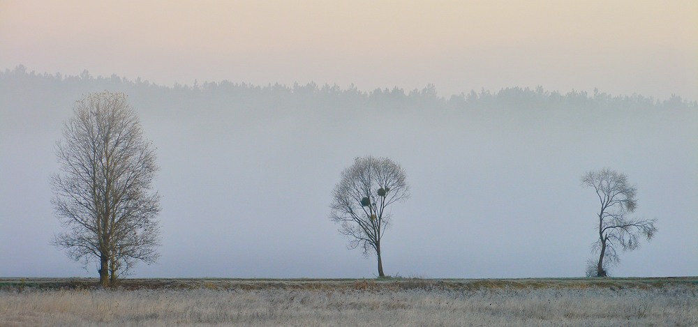 Фотографія Мої аматорські фотозамальовки.Берег річки Стугни. / Олег Бойко / photographers.ua