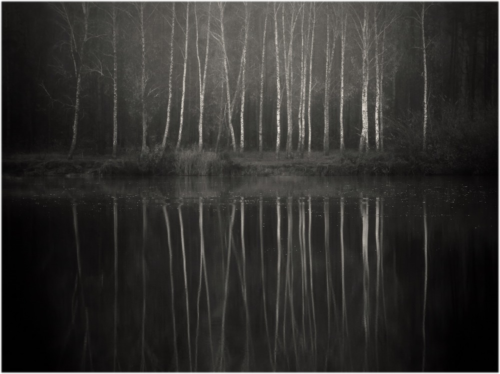 Фотографія Мої аматорські фотозамальовки.Березовий ліс на березі озера. / Олег Бойко / photographers.ua