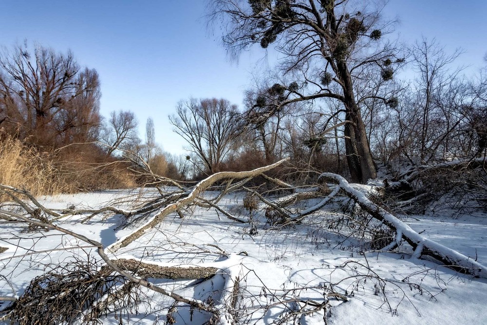 Фотографія Річка засніжена / Ігор Солодовніков / photographers.ua