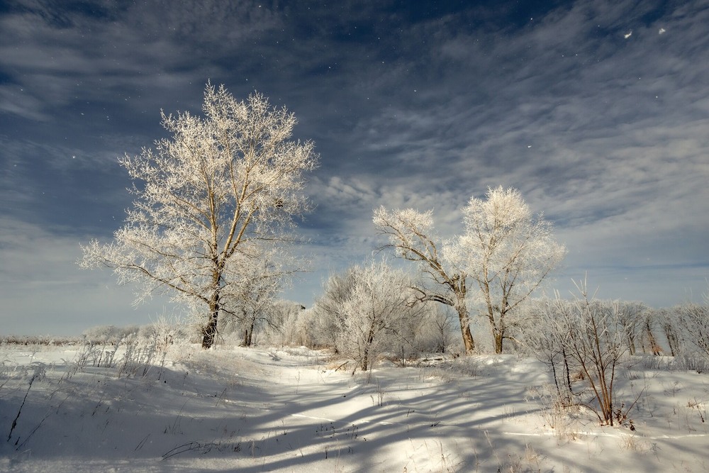 Фотографія Зимова казка / Ігор Солодовніков / photographers.ua