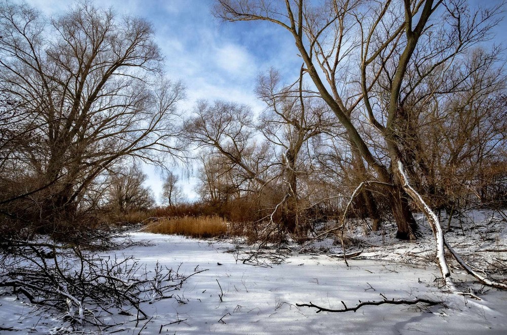 Фотографія Зимова околиця міста / Ігор Солодовніков / photographers.ua