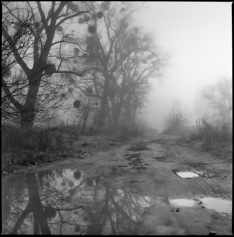 Фотографія Немає дороги до щастя. Щастя і є дорога (Будда). / Ігор Солодовніков / photographers.ua