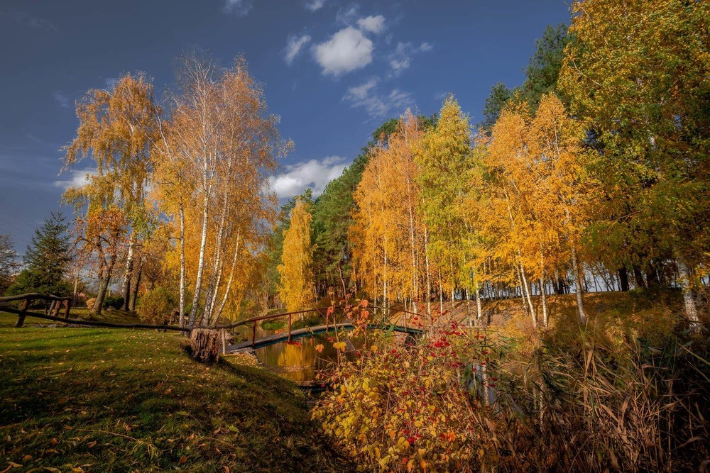 Фотография А осінь золота барвиста й кольорова.... / Ігор Солодовніков / photographers.ua