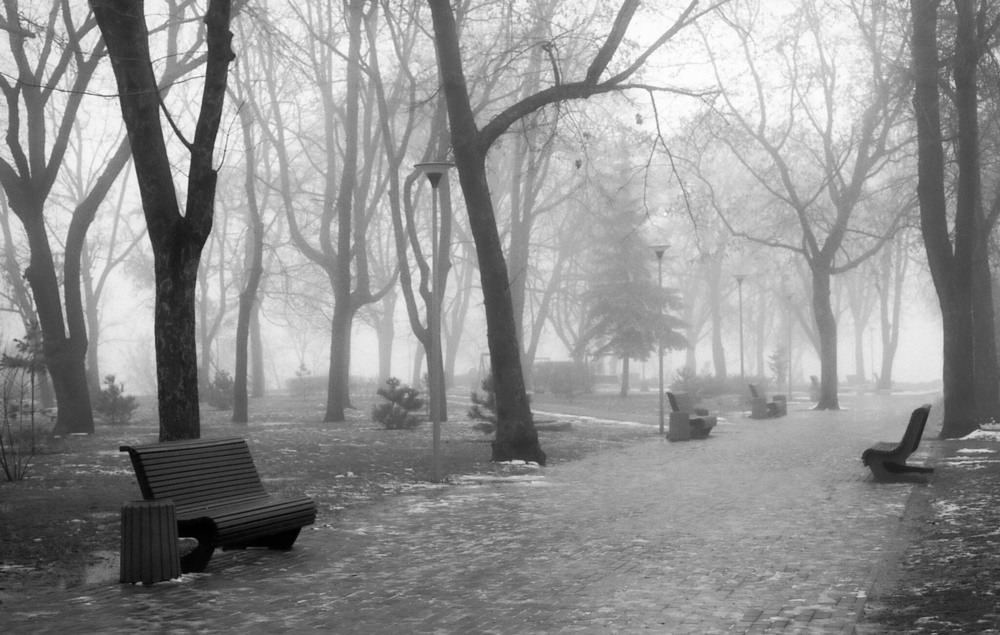 Фотографія Я блукав самотнім парком серед одиноких дерев.... / Ігор Солодовніков / photographers.ua