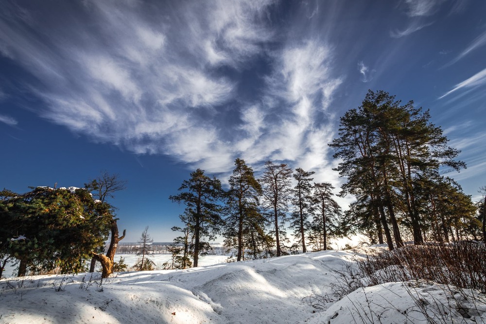 Фотографія Зима, мороз, - а не здається, - бо синє небо угорі... / Ігор Солодовніков / photographers.ua