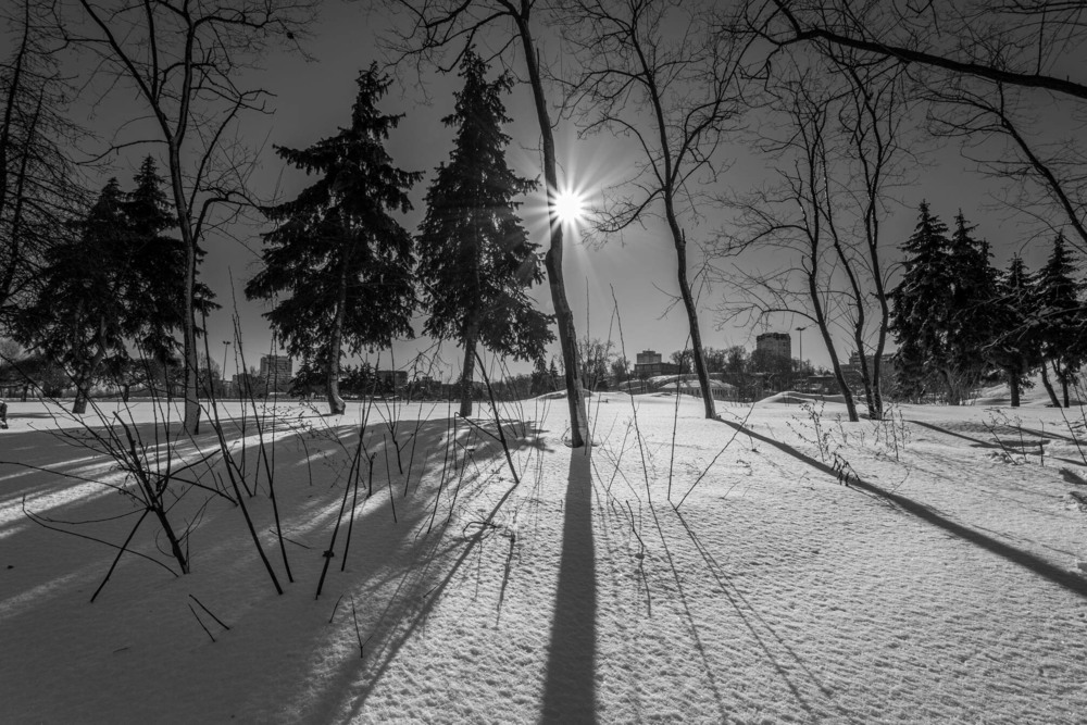 Фотографія Крізь прозоре скло сонечко зайшло і поклало теплу руку на моє чоло… / Ігор Солодовніков / photographers.ua