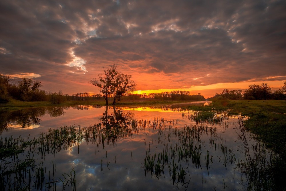 Фотографія Трагічний осінній ранок.... / Ігор Солодовніков / photographers.ua