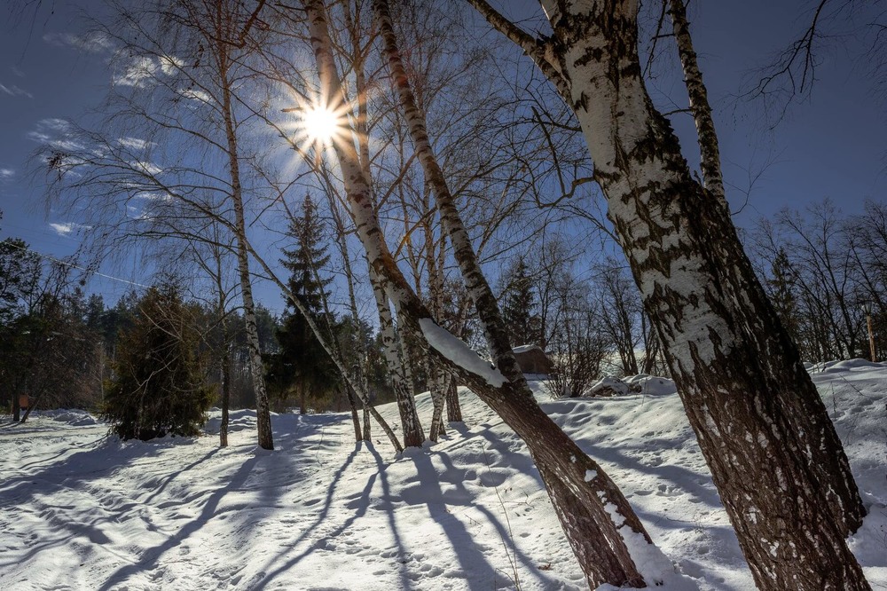 Фотографія Зимовий день - яскравим сонцем зустрічає, у розпалі зими дарує променів тепло / Ігор Солодовніков / photographers.ua