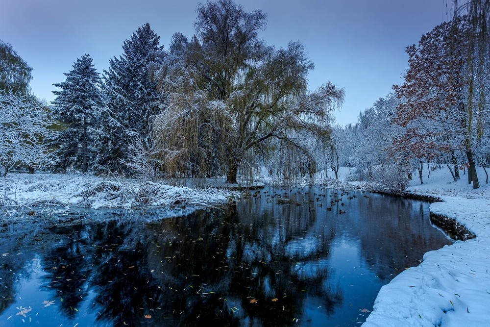 Фотографія Сапфірами сніги світились, сполохавши солодкі сни / Ігор Солодовніков / photographers.ua