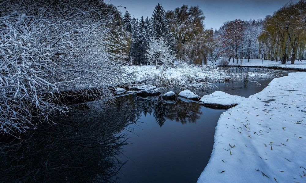 Фотографія Першого грудня почалася зима / Ігор Солодовніков / photographers.ua