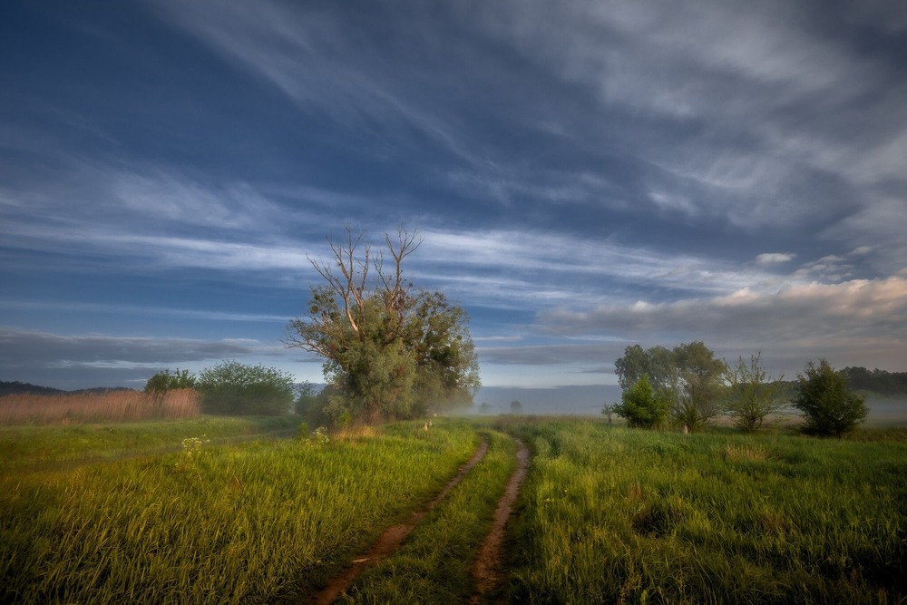 Фотографія Спогад про літо / Ігор Солодовніков / photographers.ua
