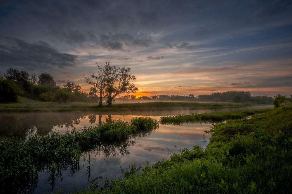 Фотографія Травневий світанок на Тясмині / Ігор Солодовніков / photographers.ua