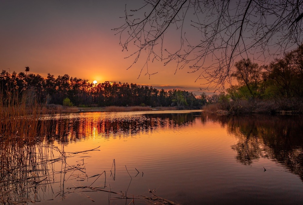 Фотографія Тихесенький вечір на землю спадає, і сонце сідає в темнесенький гай… / Ігор Солодовніков / photographers.ua