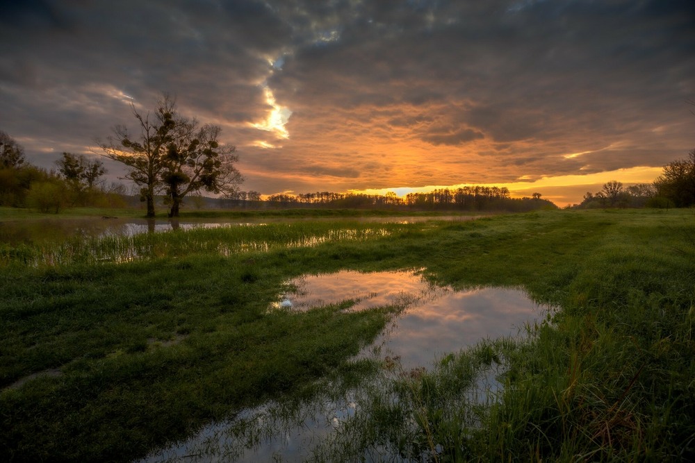 Фотографія Схід сонця над Тясмином / Ігор Солодовніков / photographers.ua