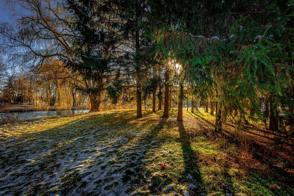 Фотографія Зимове сонце дивилось в очі... / Ігор Солодовніков / photographers.ua