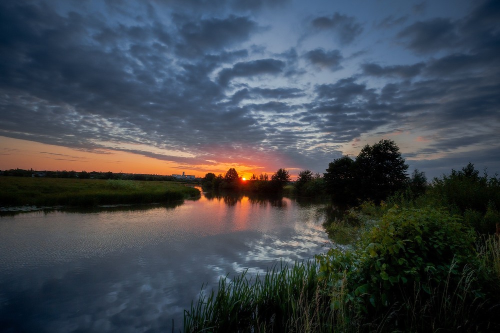 Фотографія Ранок, червень, літо / Ігор Солодовніков / photographers.ua