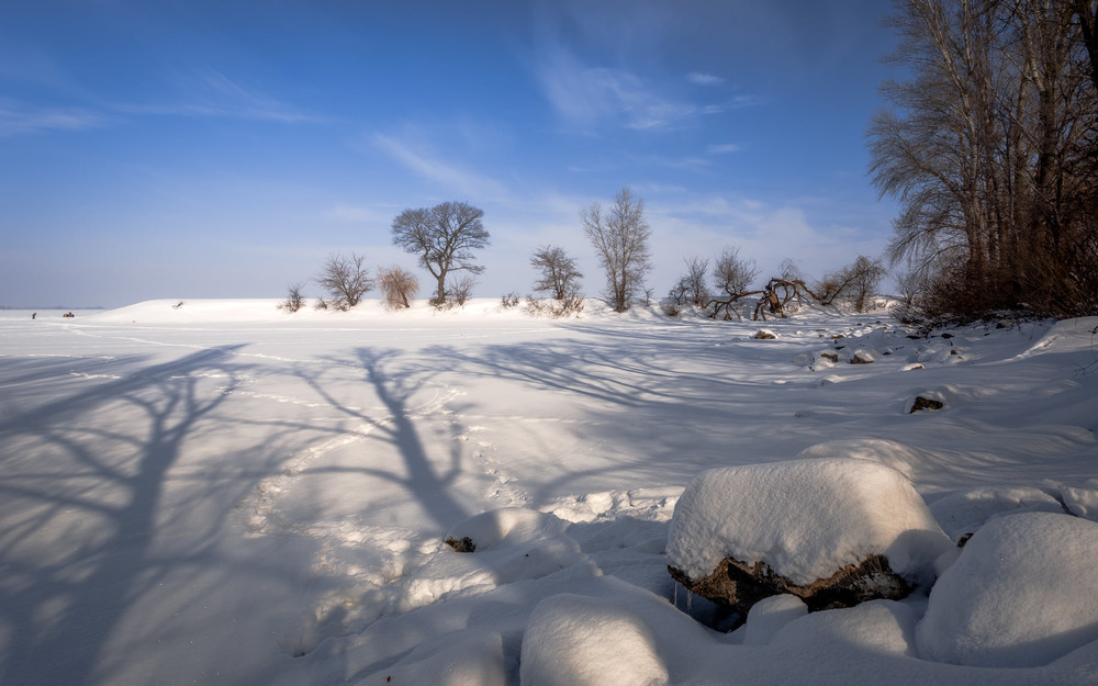 Фотографія Зимовий день / Ігор Солодовніков / photographers.ua