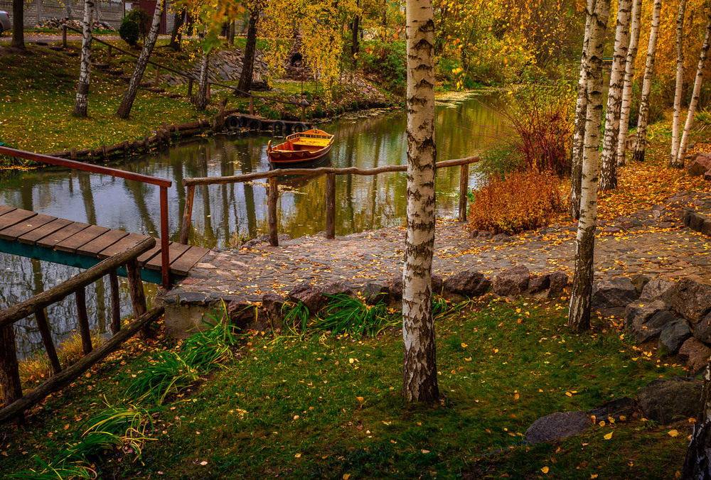 Фотографія Вишиває осінь на канві зеленій золоті квітки... / Ігор Солодовніков / photographers.ua