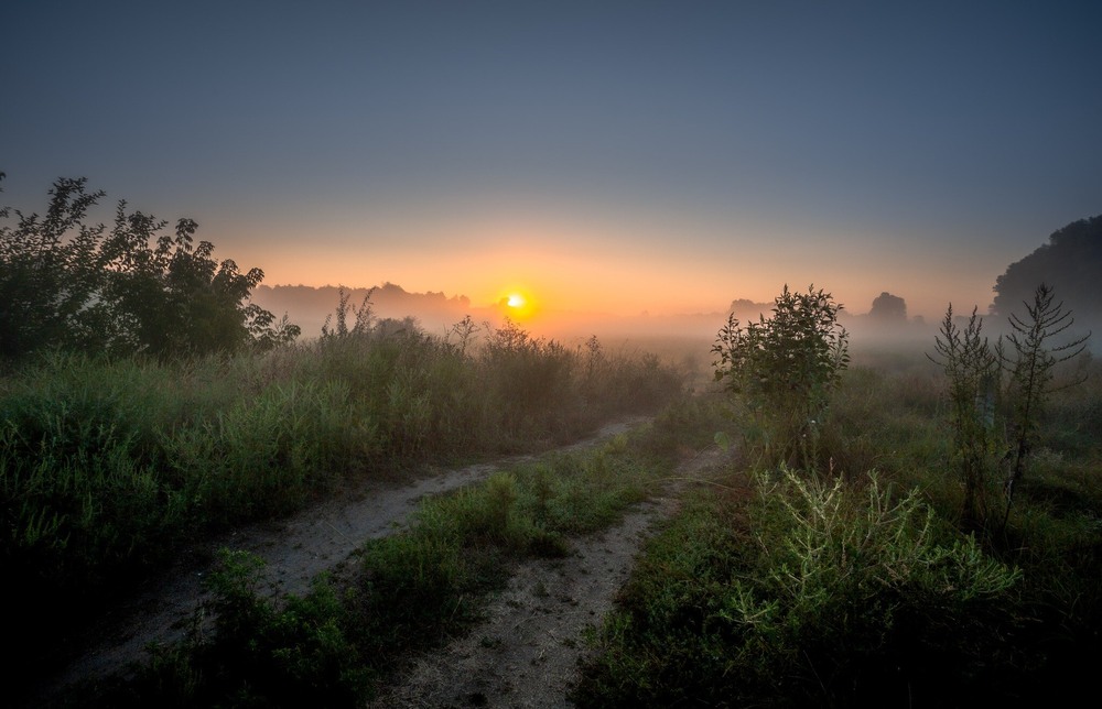 Фотографія Тиша навкруги, сплять в росі луги, тільки ти і я і ясна зоря…. / Ігор Солодовніков / photographers.ua