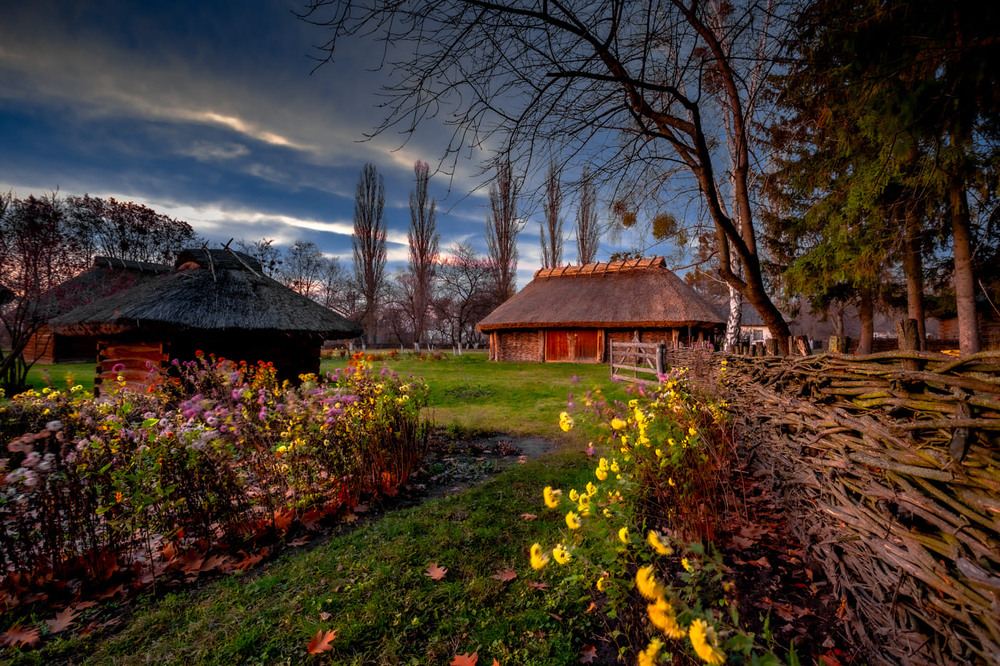 Фотографія А вітер розносить запах хризантем, осіннім вечором у останній теплий день.... / Ігор Солодовніков / photographers.ua