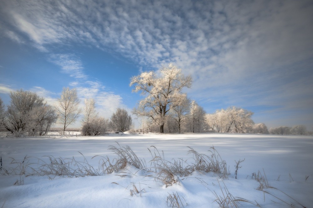 Фотографія Засніжене поле / Ігор Солодовніков / photographers.ua