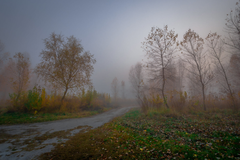 Фотография Глибока осінь-туманна пора / Ігор Солодовніков / photographers.ua