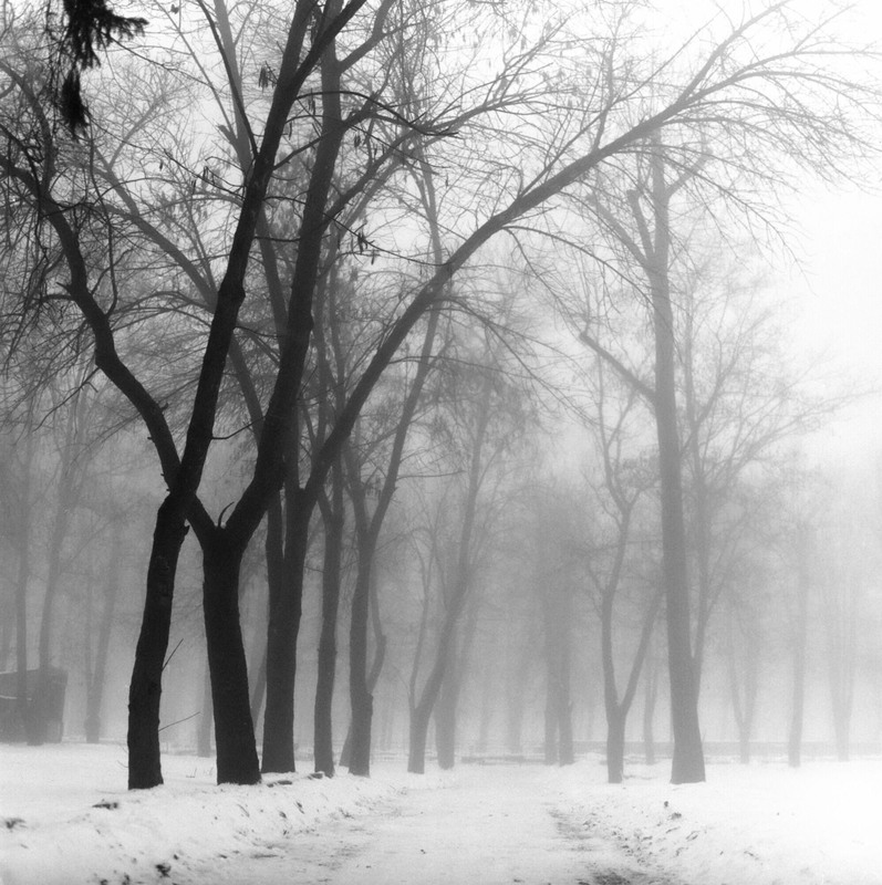 Фотографія Зимовий парк / Ігор Солодовніков / photographers.ua