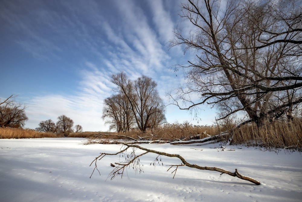 Фотографія Зима на околицях міста морозна і сніжна! / Ігор Солодовніков / photographers.ua