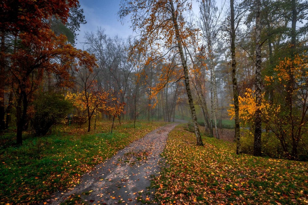 Фотографія Час глибокої осені.... / Ігор Солодовніков / photographers.ua