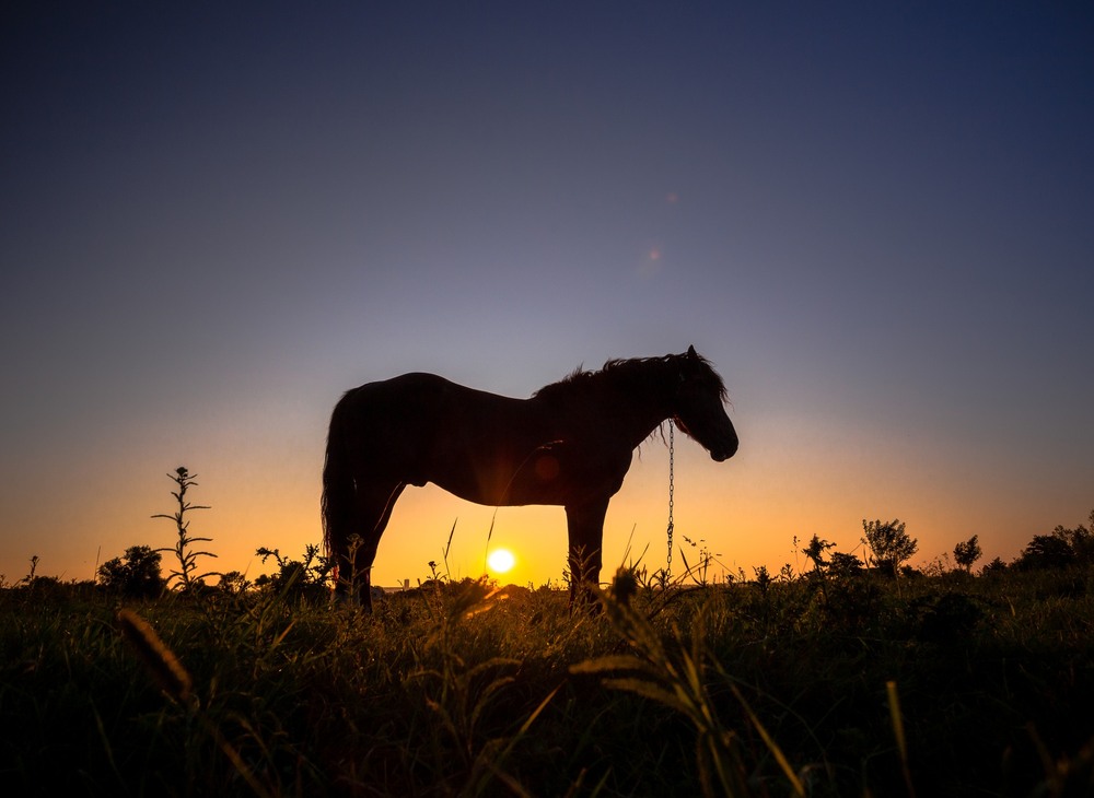 Фотографія Ранок сповнений сонця та надії / Ігор Солодовніков / photographers.ua