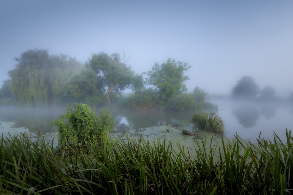 Фотографія Ранок. Буг. Туман / Ігор Солодовніков / photographers.ua