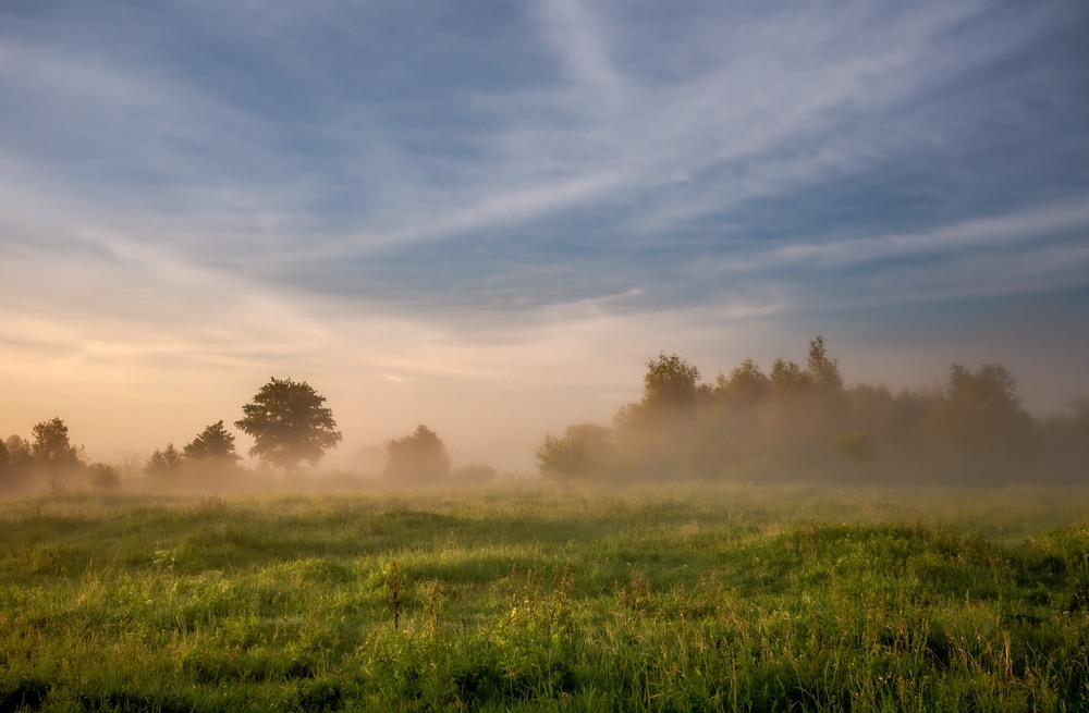 Фотографія Ранок сповнений сонця / Ігор Солодовніков / photographers.ua