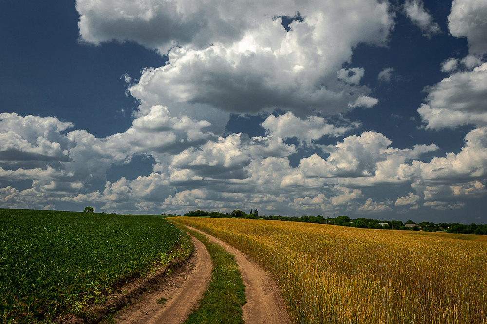 Фотографія Хмари над полем / Ігор Солодовніков / photographers.ua