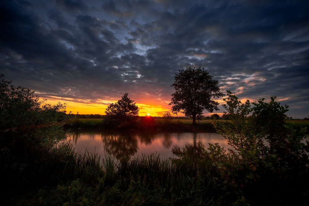 Фотографія Промені сонячні / Ігор Солодовніков / photographers.ua
