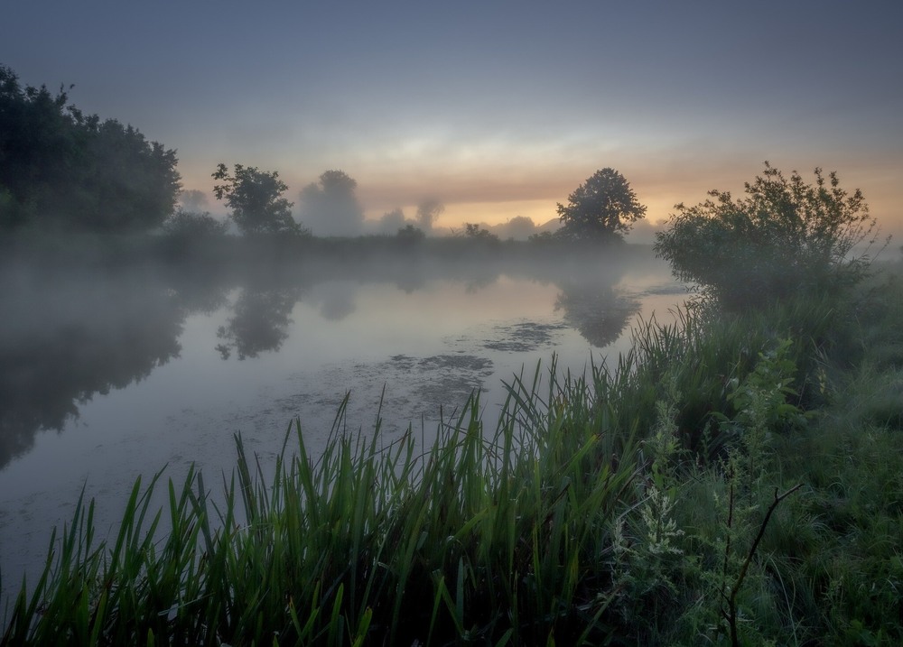 Фотографія Блукаючи туманними берегами / Ігор Солодовніков / photographers.ua