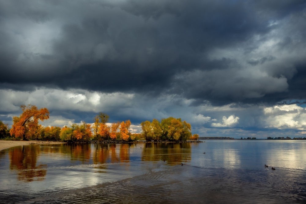 Фотографія Осінь розмалювала дерева на березі Дніпра / Ігор Солодовніков / photographers.ua