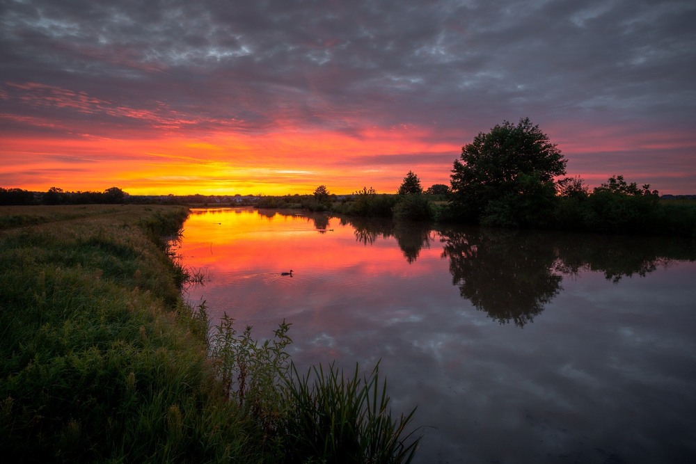 Фотографія Пливе кача, і одна і друга.... / Ігор Солодовніков / photographers.ua
